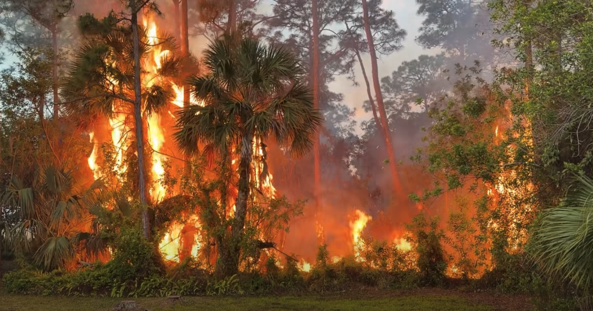 Downed power line sparks brush fire in Martin County community