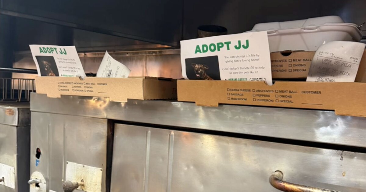How takeout orders are helping shelter pets find homes