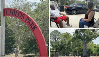 City of St. Pete works to replenish tree canopy