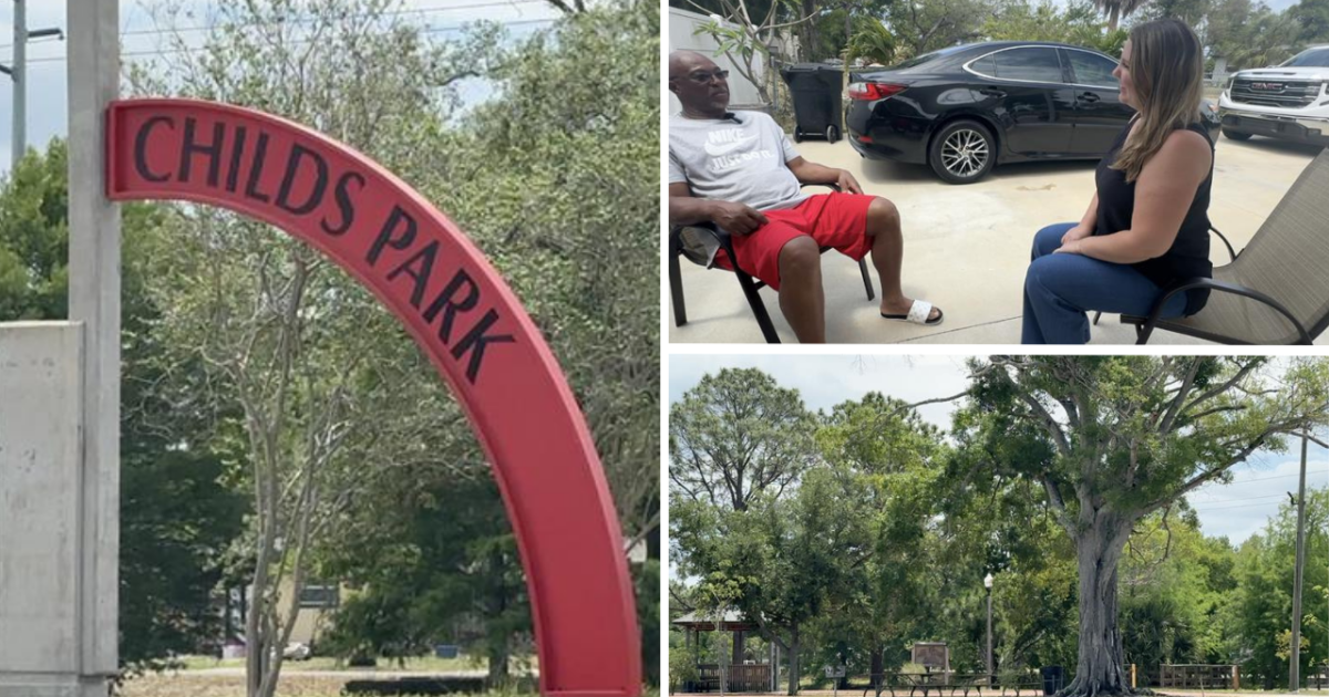 City of St. Pete works to replenish tree canopy