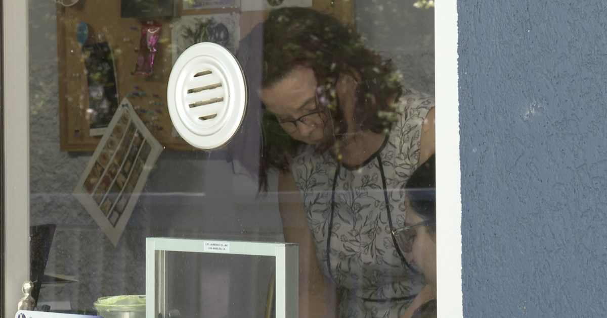 Tallahassee arts groups seek local grants amid state funding uncertainty