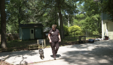 Leon County Humane Society celebrates 65 years of service