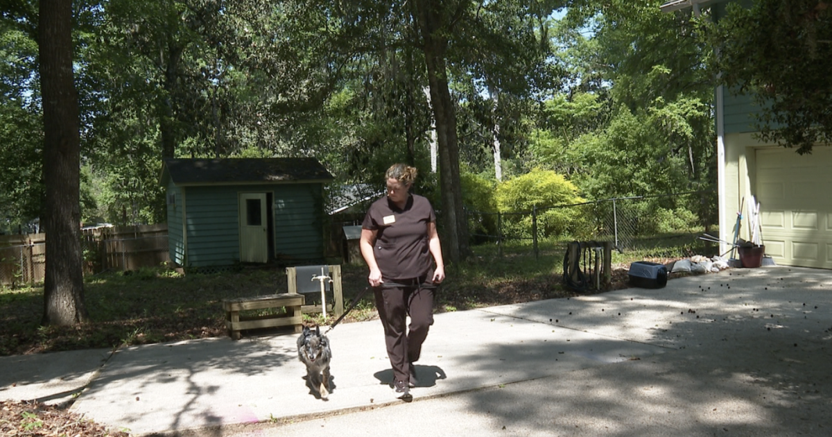 Leon County Humane Society celebrates 65 years of service