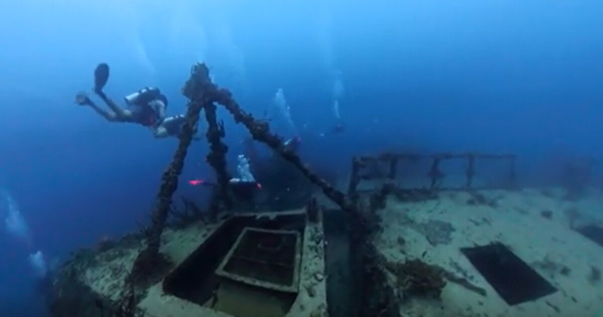 FGCU student's virtual underwater experience brings the deep to the shore | WGCU News