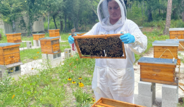 To bee or not to bee: There's no question about the value of the honeybee to life | WGCU News