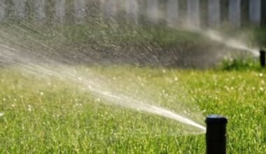 Cape Coral urges residents to cut ﻿lawn watering amid ongoing drought conditions | WGCU News