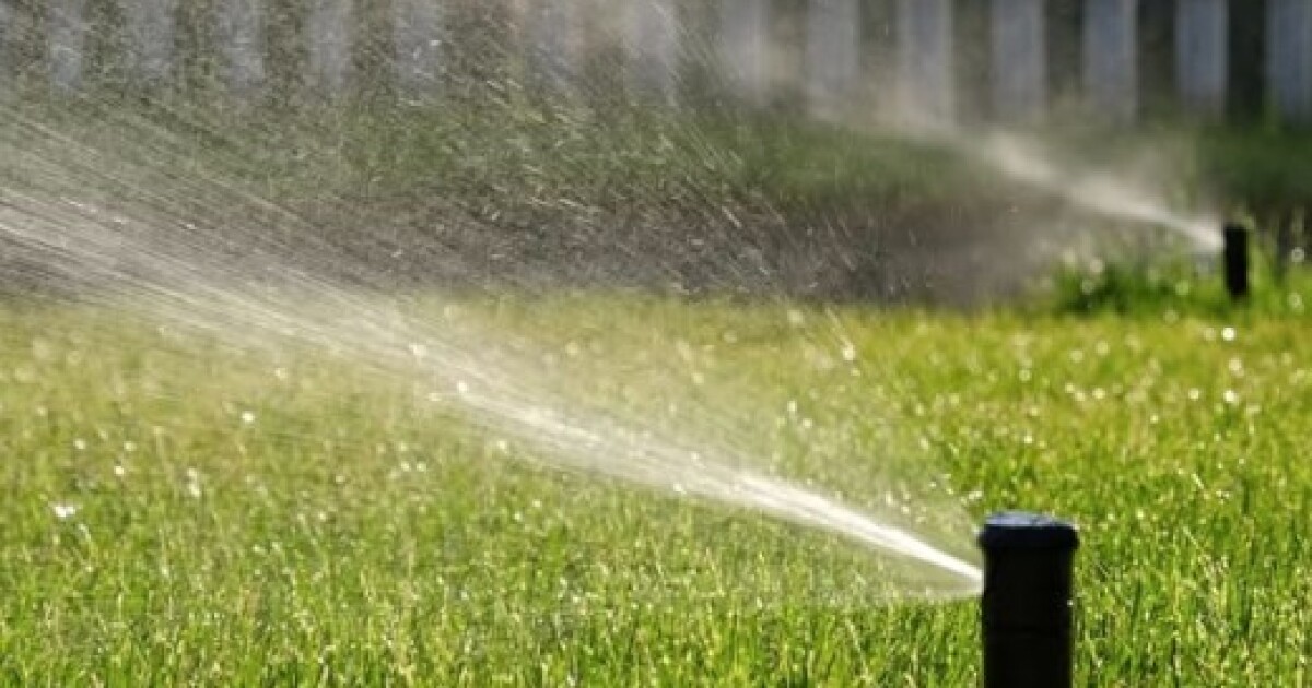 Cape Coral urges residents to cut ﻿lawn watering amid ongoing drought conditions | WGCU News