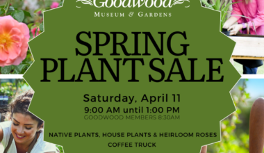 Goodwood Museum & Gardens Spring Plant Sale