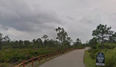 Wild Turkey Strand Preserve to temporarily close for habitat enhancement project | WGCU News