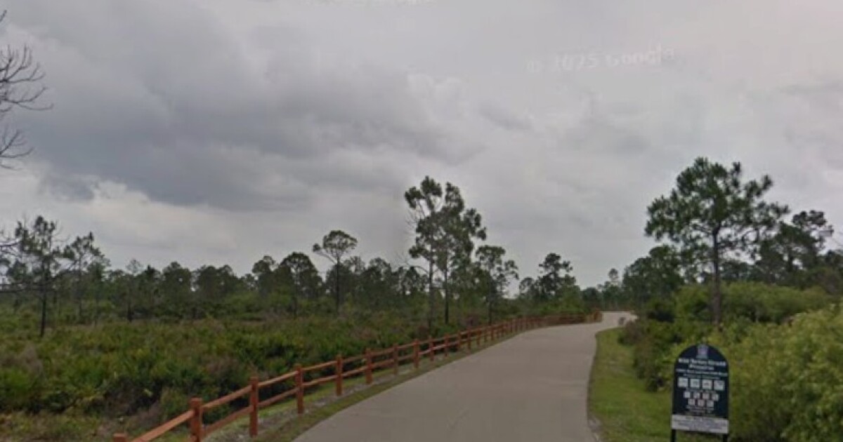 Wild Turkey Strand Preserve to temporarily close for habitat enhancement project | WGCU News