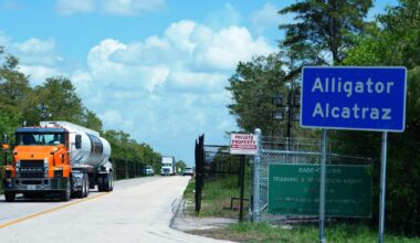 Environmental groups urge appeals court panel to lift halt on closing Florida's 'Alligator Alcatraz'