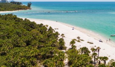 Best Gulf Coast Beaches Near Naples, Florida