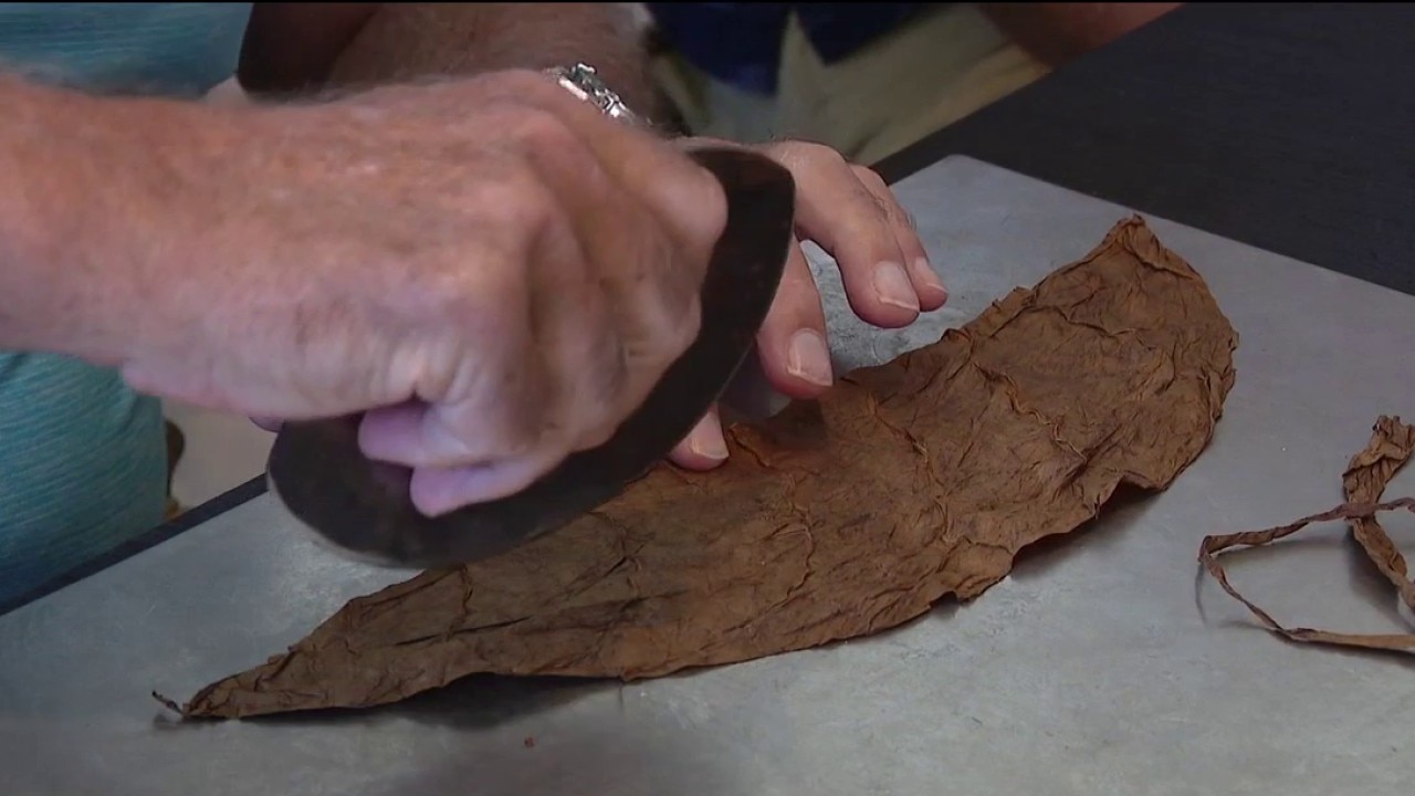 140th anniversary of first cigar rolled