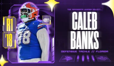 Minnesota Vikings logo