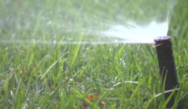 New water restrictions for Southwest Florida: What should homeowners know?