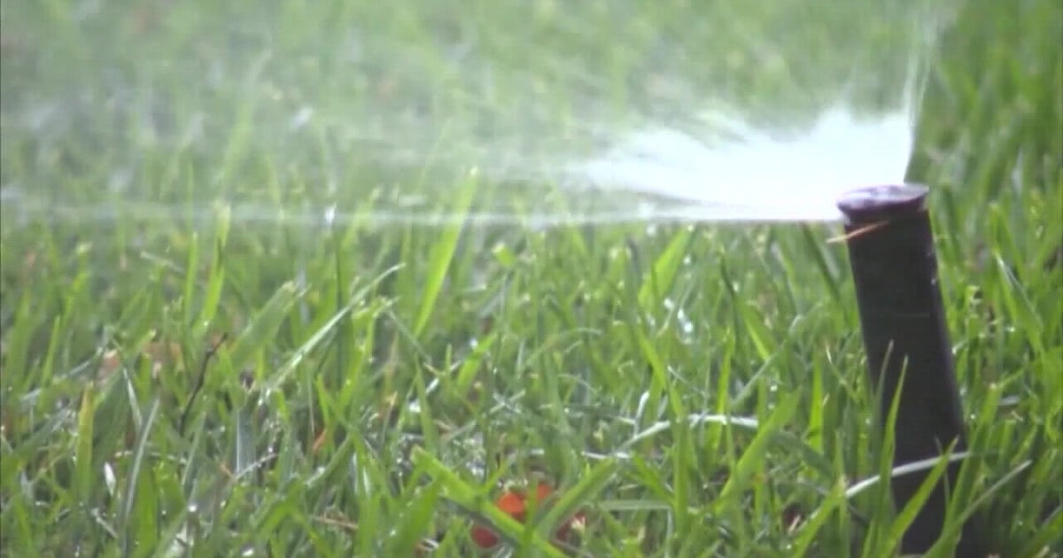 New water restrictions for Southwest Florida: What should homeowners know?
