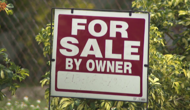 Pinellas County sees second-largest population drop in the US between 2024 and 2025, new census data shows