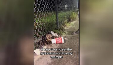 Florida woman hits halfway point in her viral journey to pick up one million pieces of litter