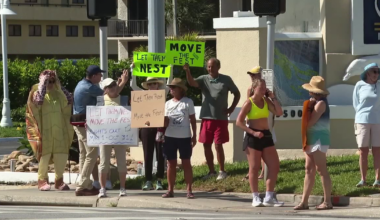 Country Thunder submits application to move event to Clearwater after wildlife concerns on St. Pete Beach
