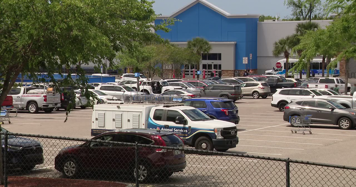 Palm Harbor Walmart dog fight injures 3 employees, 2 others: PCSO