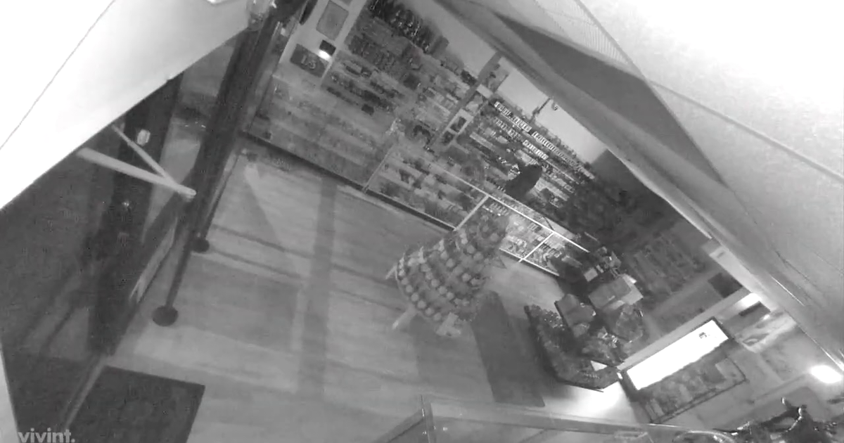 Teen accused of smashing window, stealing $5K in merchandise from Hillsborough County smoke shop: HCSO