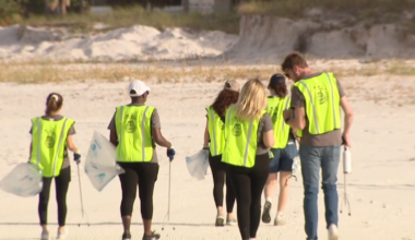 Tampa environmental advocates encourage celebrating Earth Day every day: 'Clean up and green up'