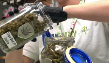 Florida not expected to see much change from marijuana rescheduling, but research opportunities loom