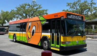 A colorful public bus with Orange Bird graphics parked under a sunny sky, displaying a slogan promoting shrimp.