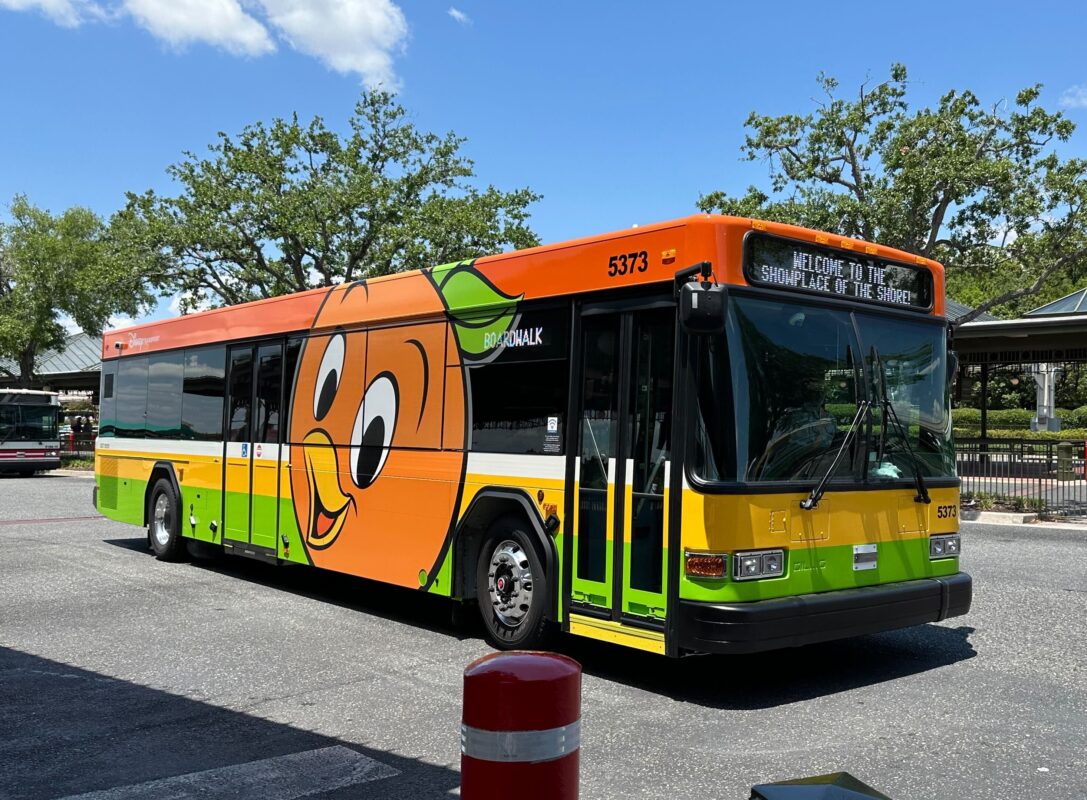 A colorful public bus with Orange Bird graphics parked under a sunny sky, displaying a slogan promoting shrimp.