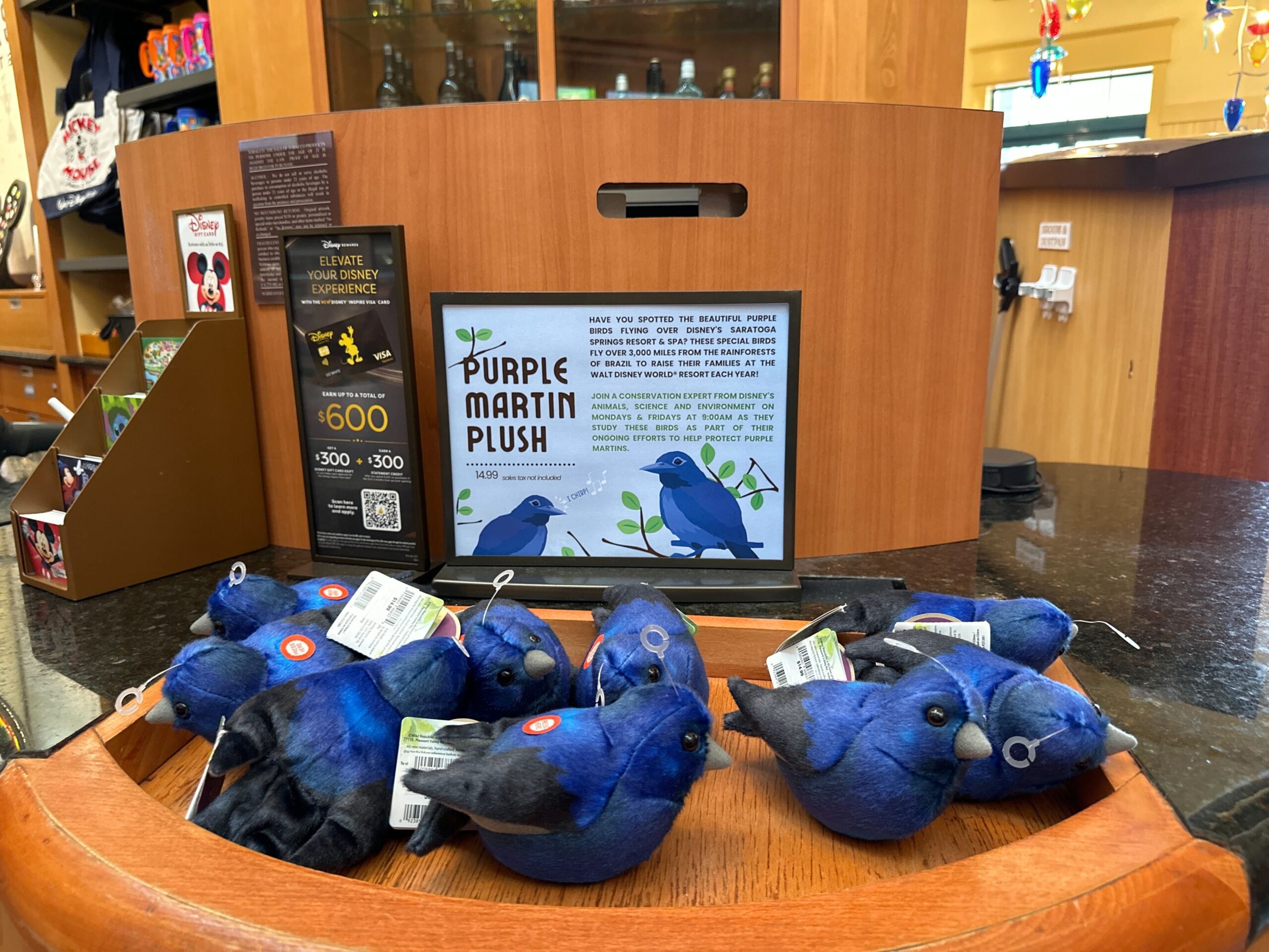 Guests can purchase their own purple martin plush for $14.99 at The Artist’s Palette. We also spotted a cast member with a purple martin photo prop.