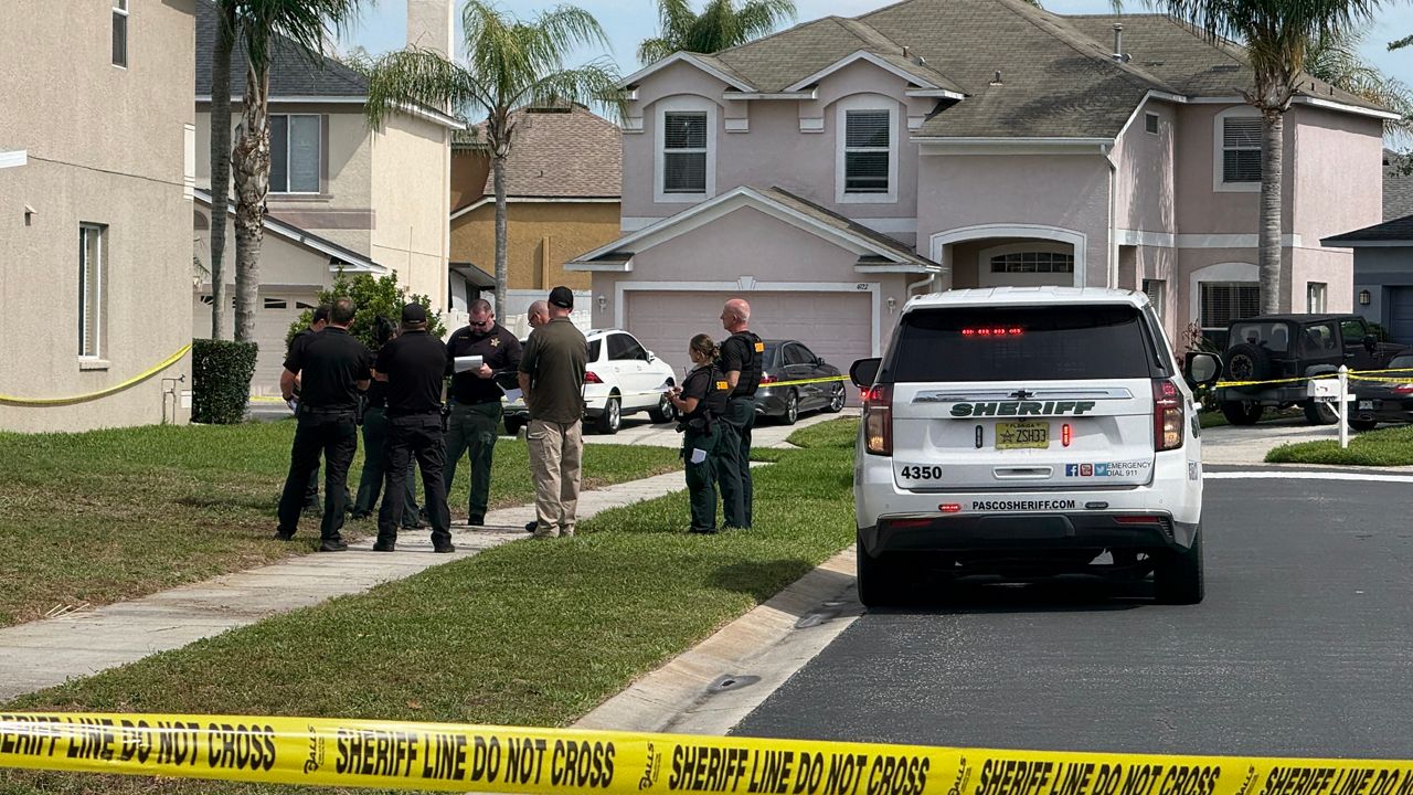 1 dead after plane crashes into Wesley Chapel subdivision