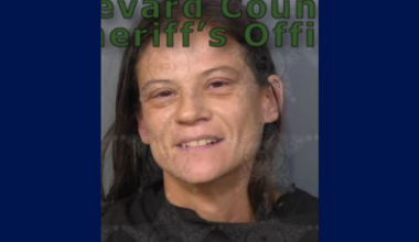 Florida mom accused of abandoning child for days in home full of feces, aggressive dogs