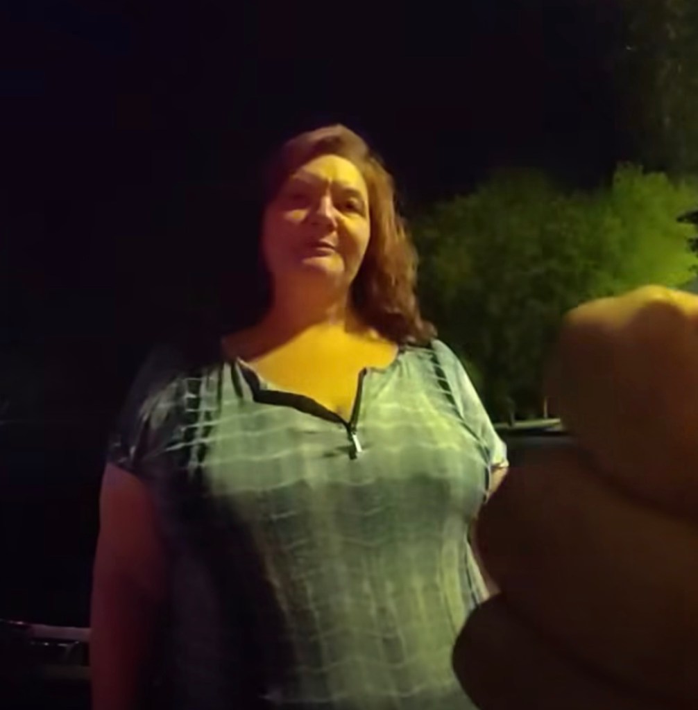 handed a cop a Barnes & Noble gift card instead of her license.