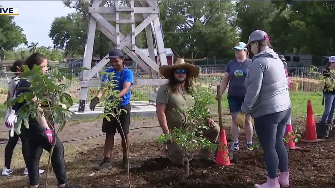 Students plant trees in honor of Earth Day