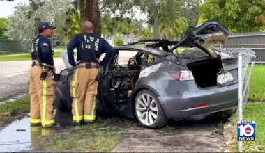 Tesla Wraps Around Tree and Bursts Into Flames in Florida, Driver Hospitalized