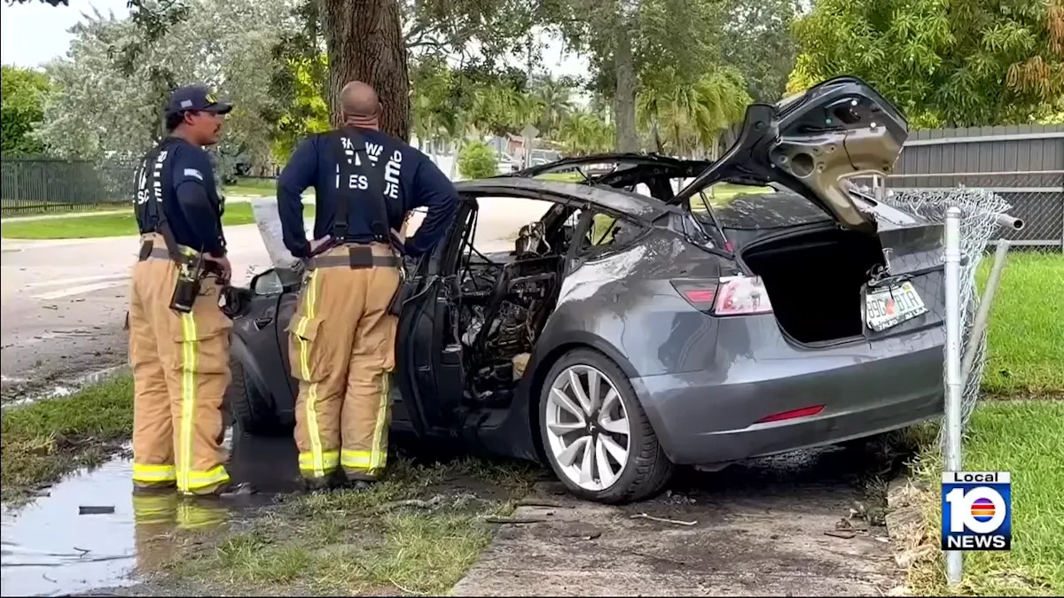 Tesla Wraps Around Tree and Bursts Into Flames in Florida, Driver Hospitalized