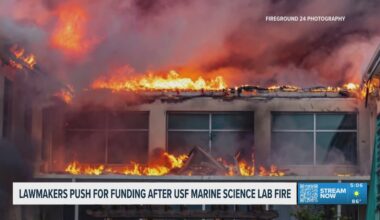 USF Marine Sciences building fire to be discussed in special session as lawmakers push for funding