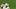 Miami Hurricanes defensive lineman Rueben Bain Jr.