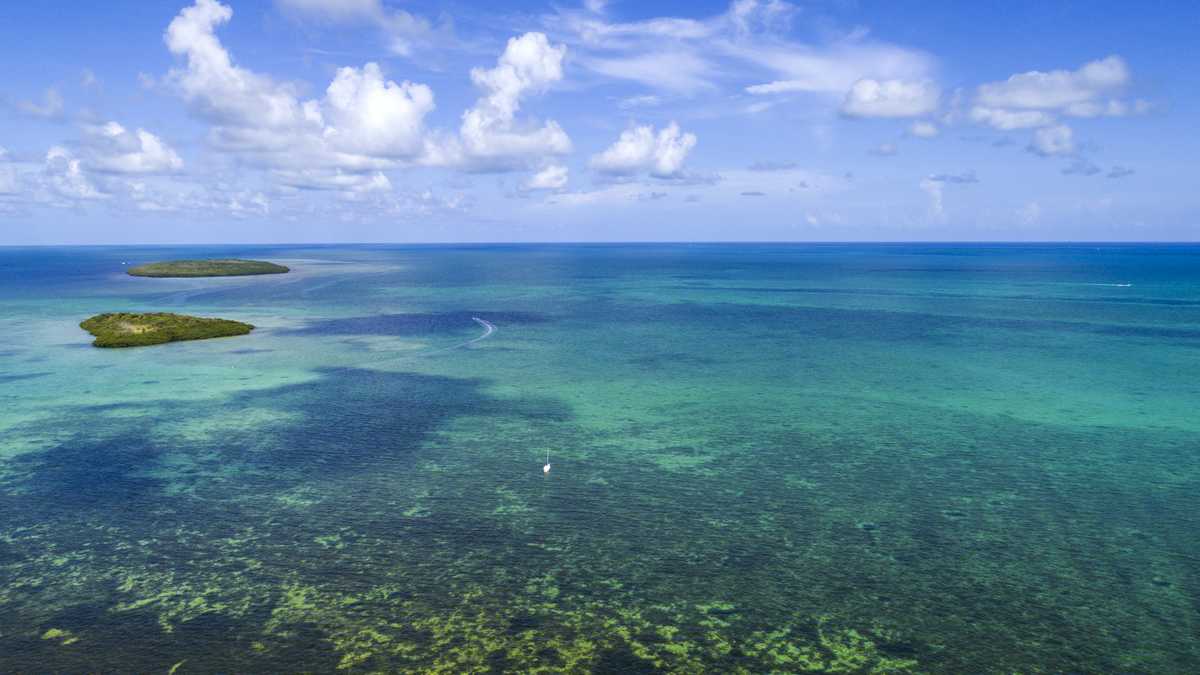 Mississippi woman dies after snorkeling in Florida