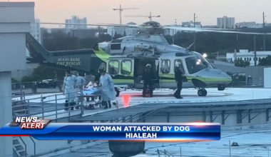 Woman airlifted after being attacked by dog in Hialeah - WSVN 7News | Miami News, Weather, Sports