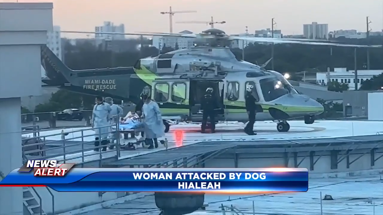 Woman airlifted after being attacked by dog in Hialeah - WSVN 7News | Miami News, Weather, Sports