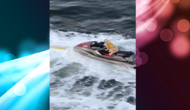 Dog in Fort Lauderdale seen riding along river on a jet ski - WSVN 7News | Miami News, Weather, Sports