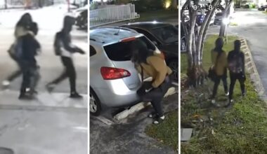 Surveillance shows masked thieves burglarizing cars in Miami-Dade – NBC 6 South Florida