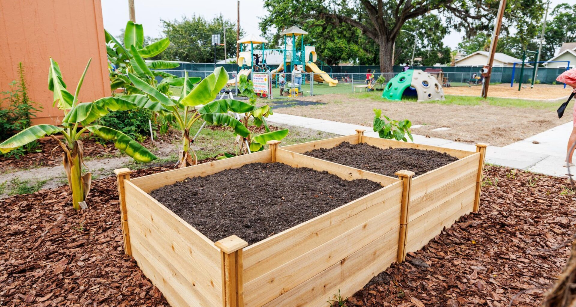 City of St. Petersburg Hosting Info Sessions for New Urban Agriculture Program