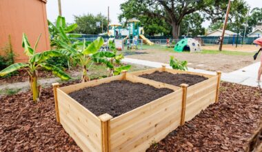City of St. Petersburg Hosting Info Sessions for New Urban Agriculture Program