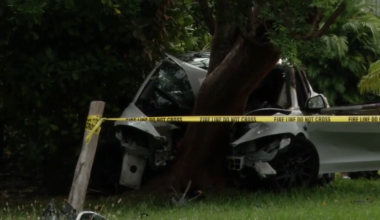 Driver hospitalized after Tesla erupts into flames after crashing into tree in SW Miami-Dade - WSVN 7News | Miami News, Weather, Sports