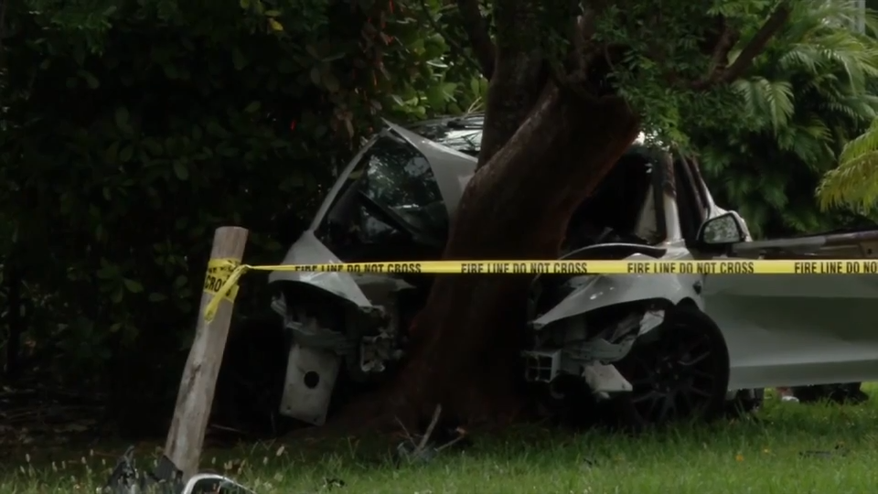 Driver hospitalized after Tesla erupts into flames after crashing into tree in SW Miami-Dade - WSVN 7News | Miami News, Weather, Sports