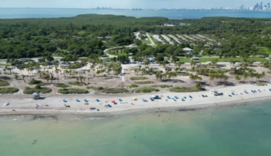 Bacteria in water at Crandon Park North in Key Biscayne, FDOH says – NBC 6 South Florida