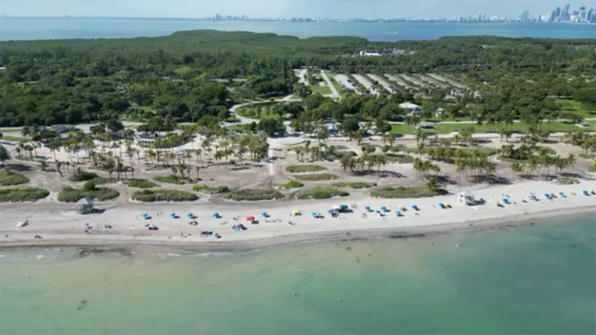 Bacteria in water at Crandon Park North in Key Biscayne, FDOH says – NBC 6 South Florida