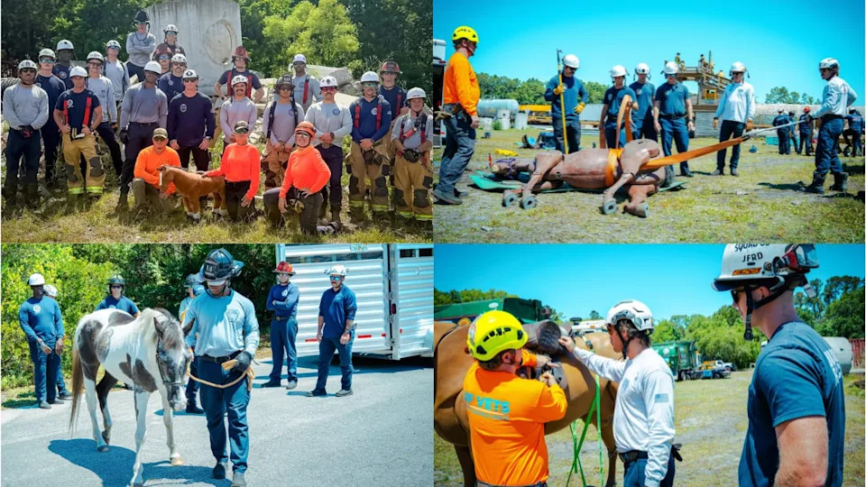 JFRD Animal Technical Rescue Training